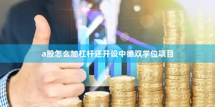 a股怎么加杠杆还开设中德双学位项目