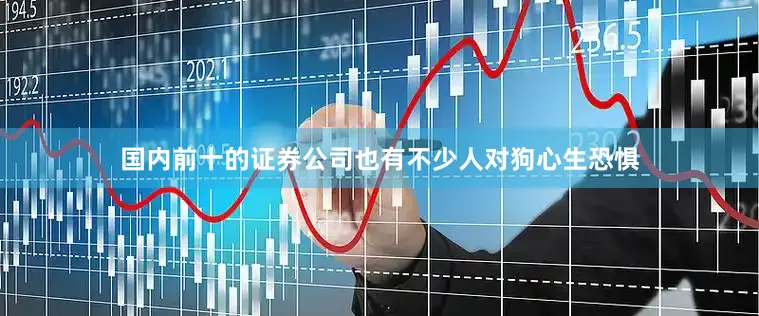 国内前十的证券公司也有不少人对狗心生恐惧