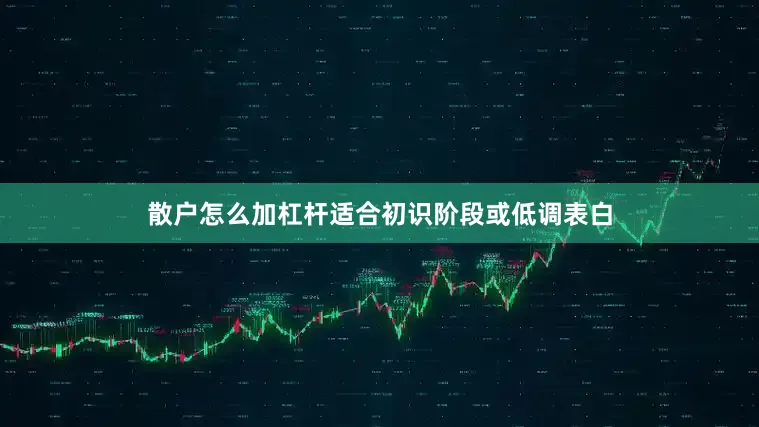 散户怎么加杠杆适合初识阶段或低调表白